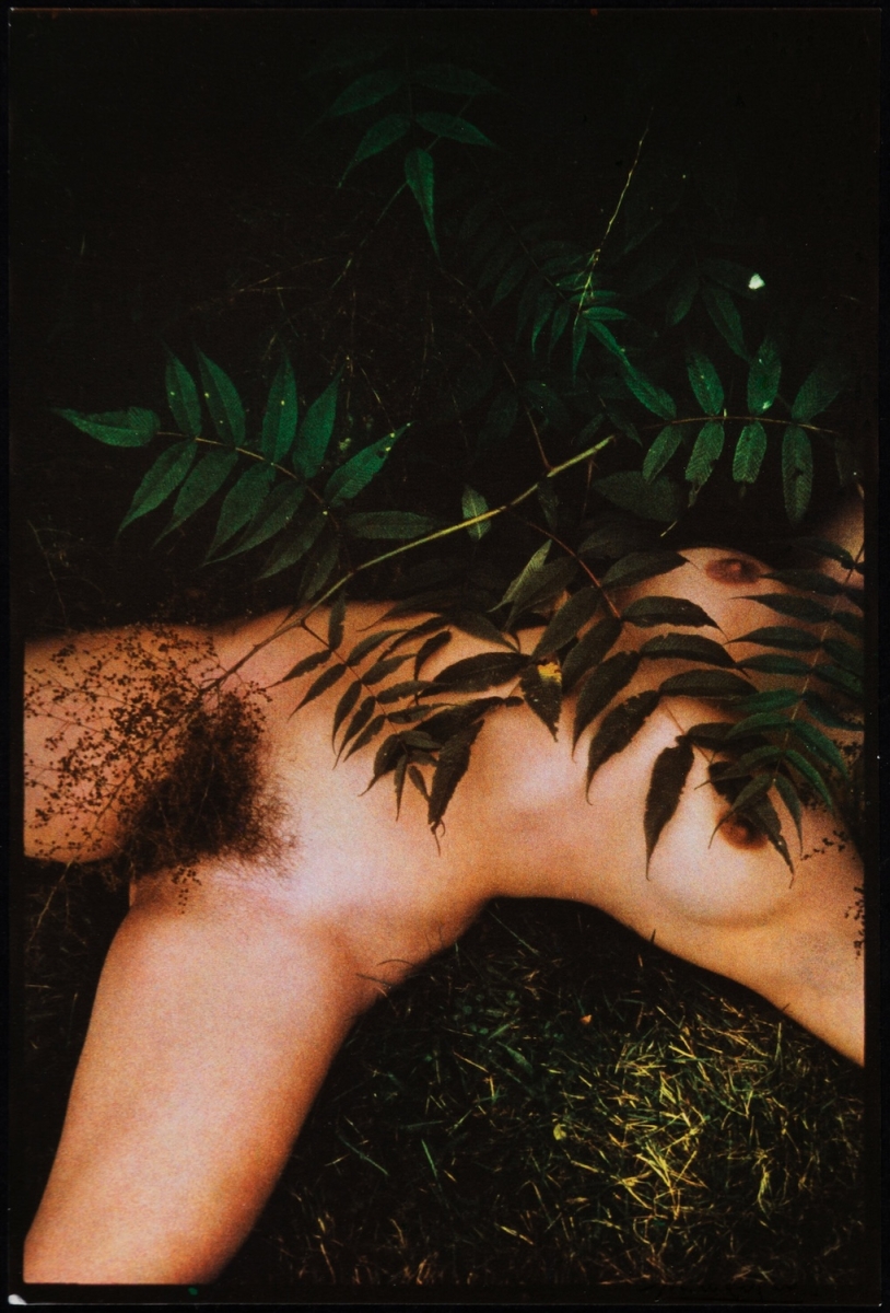 Lucien Clergue - Nu des Bois, Rockport, ME