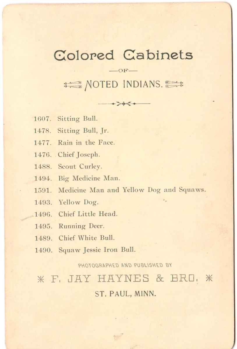 Photo Detail - Frank Jay Haynes & Brothers - Chief Little Head (Apsáalooke/Crow)