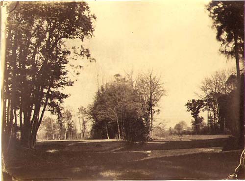 Saugrin (possibly Louis Francois) - Landscape, Walkway & Bench Saugrin (possibly Louis Francois) - Landscape, Walkway & Bench