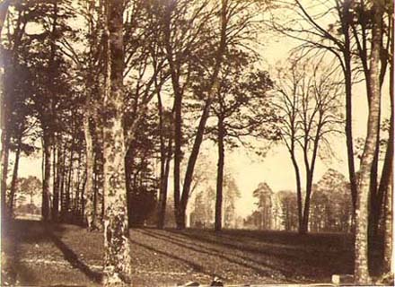 Saugrin (possibly Louis Francois) - Landscape Saugrin (possibly Louis Francois) - Landscape