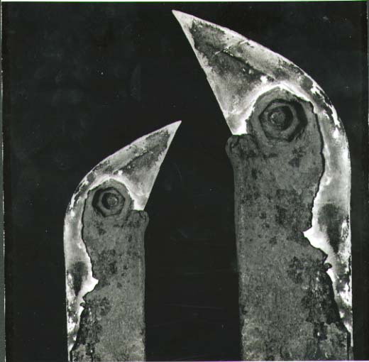 Ladislav Postupa - Ptaci (Birds) Ladislav Postupa - Ptaci (Birds)