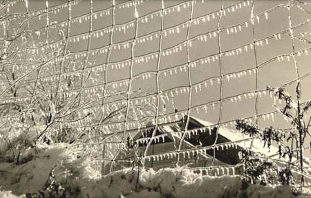 Frank J. Heller - Iced Fence Frank J. Heller - Iced Fence