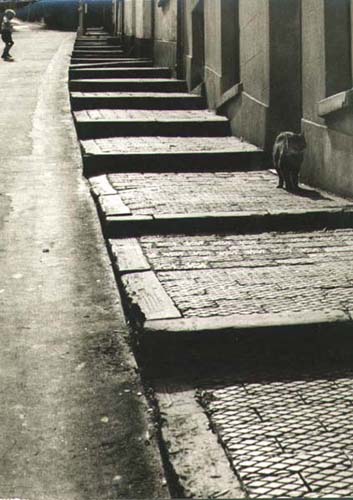 Photo Detail - Wolfgang Suschitzky - Dartmouth, England
