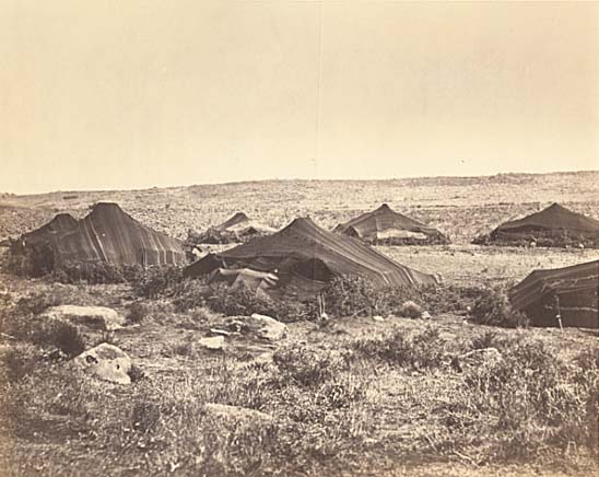 Anonymous - Arab Camp Anonymous - Arab Camp