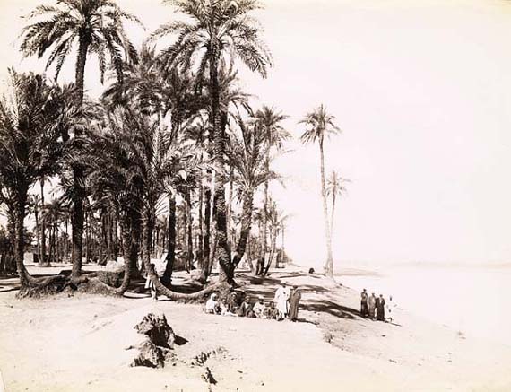 J. Pascal Sebah - Palm Grove with Nubians Along the Nile