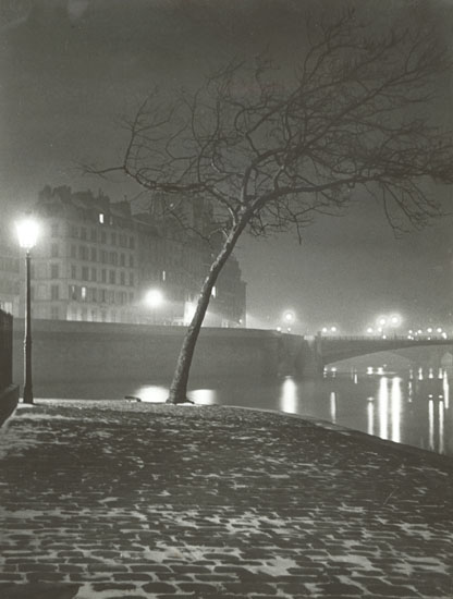 Maurice Georges Chanu - Tree Study in Snow along Seine, Paris Maurice Georges Chanu - Tree Study in Snow along Seine, Paris