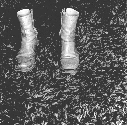 Joel D. Levinson - Boots Joel D. Levinson - Boots