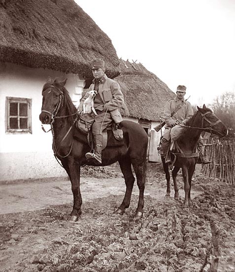 Photo Detail - Anonymous - Austrian Soldiers on Horseback Holding Dog, WWI