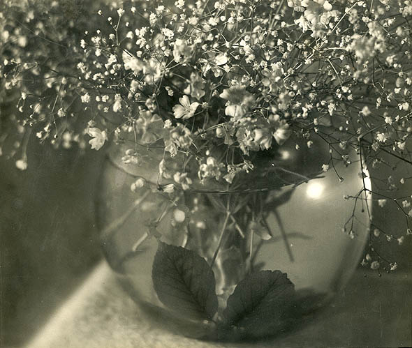 Jean-Marie Auradon - Still Life of Flowers in a Glass Bowl of Water