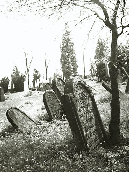 Antonin Gribovsky - Jewish Cemetery in Lostice, Czech Republic