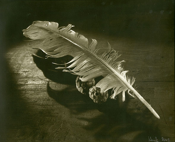 Josef Hnik - Still Life, Feather