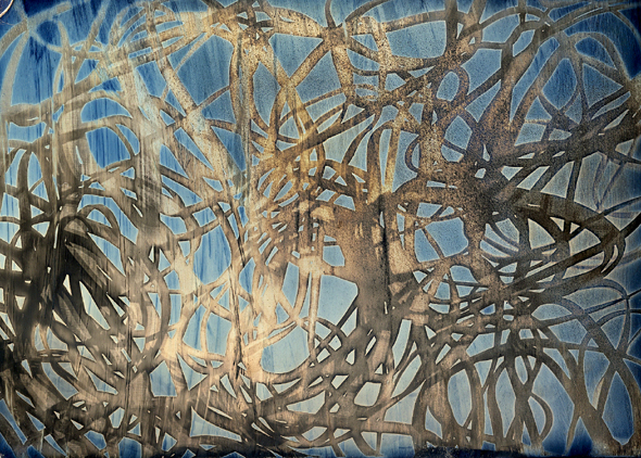 Charlie Schreiner - Fettuccine Charlie Schreiner - Fettuccine
