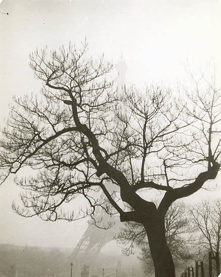 Photo Detail - Geza Vandor - Tree in Front of Eiffel Tower, Paris Photo Detail - Geza Vandor - Tree in Front of Eiffel Tower, Paris