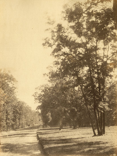 Hippolyte Bayard (attributed to) - A Study of Trees and Road