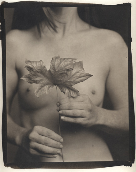 Ray Bidegain - Maple Leaf and Female Nude Ray Bidegain - Maple Leaf and Female Nude