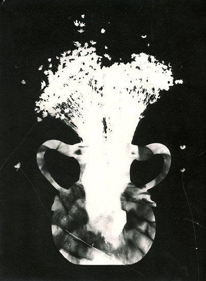 George A. Eisenman - Photogram of Vase and Straw Flowers George A. Eisenman - Photogram of Vase and Straw Flowers