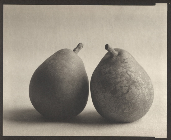 Ray Bidegain - Pears with Leaves Ray Bidegain - Pears with Leaves