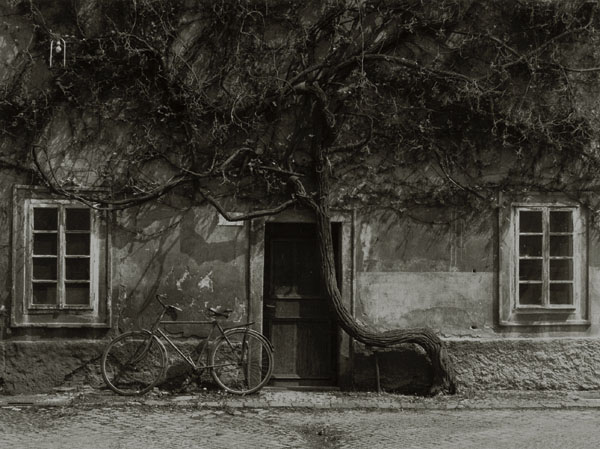 Stanko Abadžic - Forgotten Bicycle