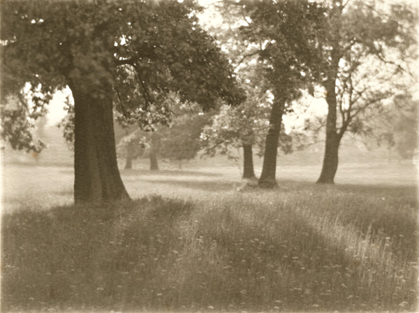 Francis Alfred Bolton - In June Francis Alfred Bolton - In June