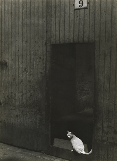 Photo Detail - Théo and Antoine Blanc & Demilly - Le Chat (The Cat in the Doorway)