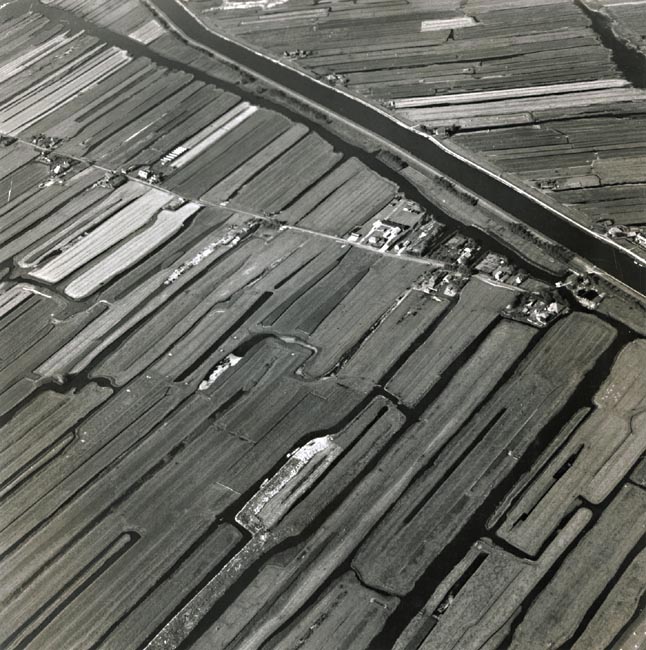 Photo Detail - Fritz Henle - Aerial of Holland