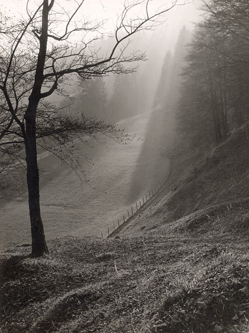 Max Baur - Morning Light, Germany Max Baur - Morning Light, Germany