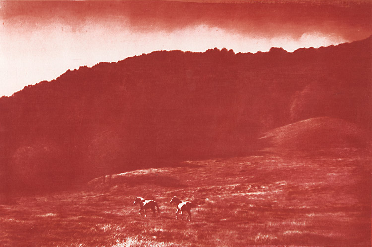 Ted Jones - Virginia Landscape (Horses) Ted Jones - Virginia Landscape (Horses)