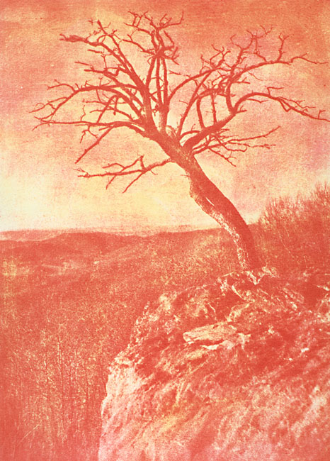 Ted Jones - Virginia Landscape #39 Ted Jones - Virginia Landscape #39