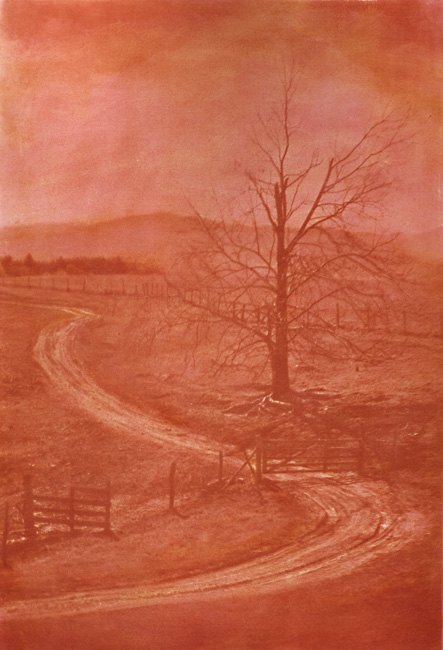Ted Jones - Virginia Landscape #19 Ted Jones - Virginia Landscape #19
