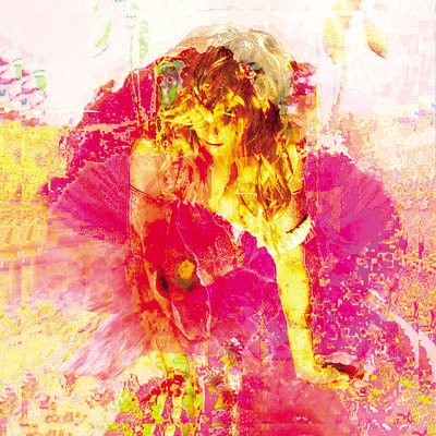 Lisa Holden - Pink Poppies