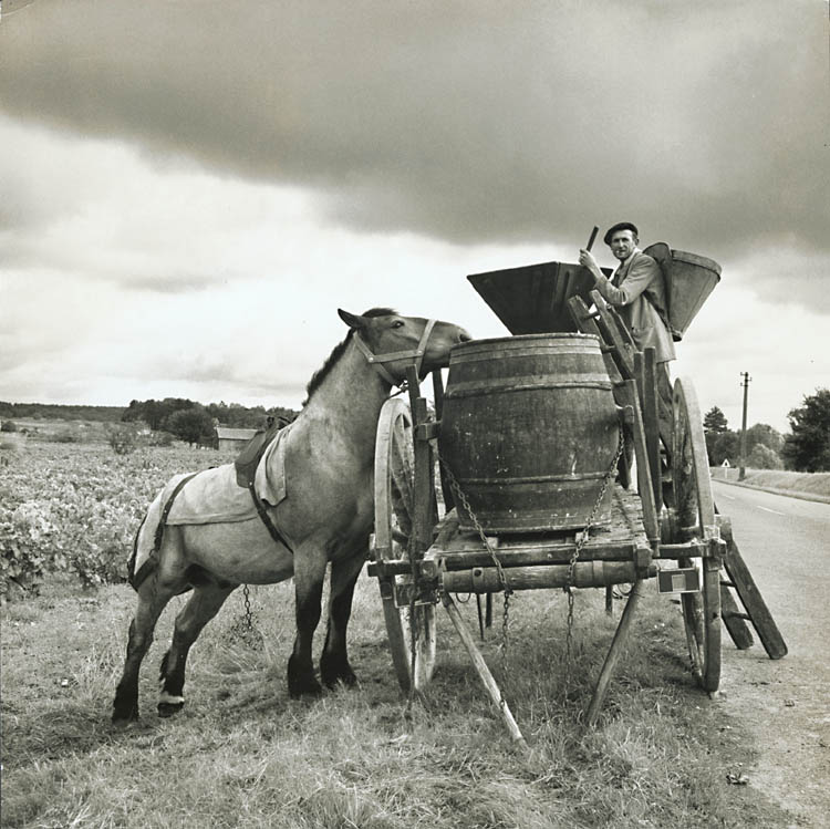 Fritz Henle - Winemaking, Loire, France