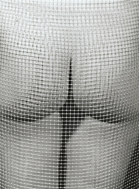 Marcel Marien - Untitled (Nude and Mesh)